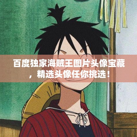百度独家海贼王图片头像宝藏，精选头像任你挑选！