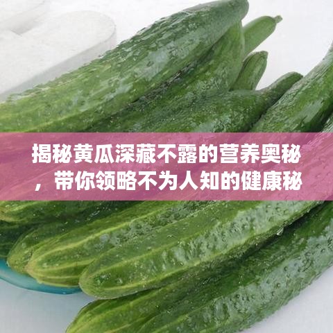 揭秘黄瓜深藏不露的营养奥秘，带你领略不为人知的健康秘密！