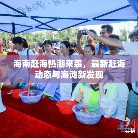 海南赶海热潮来袭，最新赶海动态与海滩新发现