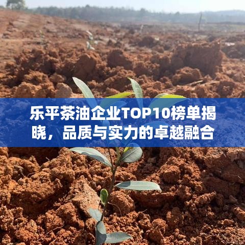 乐平茶油企业TOP10榜单揭晓，品质与实力的卓越融合
