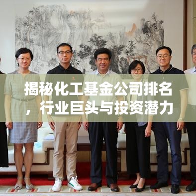 揭秘化工基金公司排名，行业巨头与投资潜力一览
