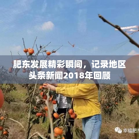 肥东发展精彩瞬间，记录地区头条新闻2018年回顾