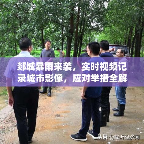 郯城暴雨来袭，实时视频记录城市影像，应对举措全解析