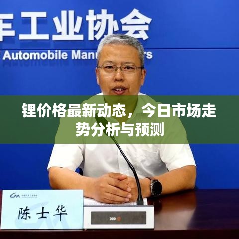 锂价格最新动态，今日市场走势分析与预测