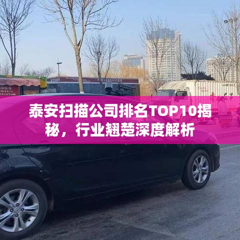 泰安扫描公司排名TOP10揭秘，行业翘楚深度解析