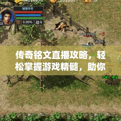 传奇铭文直播攻略，轻松掌握游戏精髓，助你成为顶尖玩家！