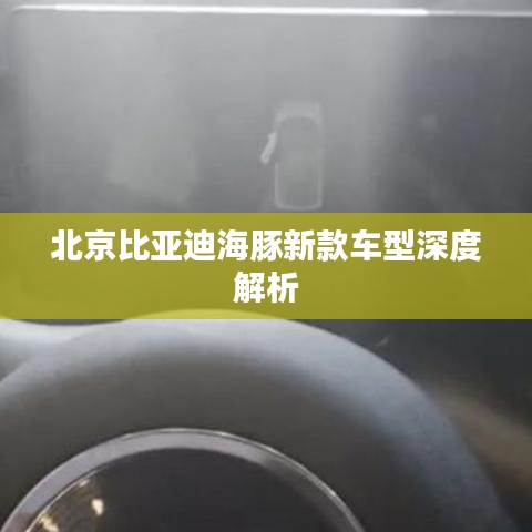 北京比亚迪海豚新款车型深度解析