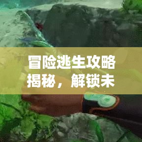冒险逃生攻略揭秘，解锁未知世界的秘密之门！