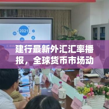 建行最新外汇汇率播报，全球货币市场动态一览无余！