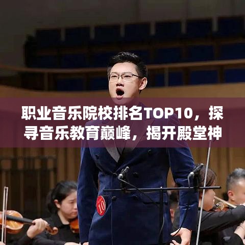 职业音乐院校排名TOP10，探寻音乐教育巅峰，揭开殿堂神秘面纱