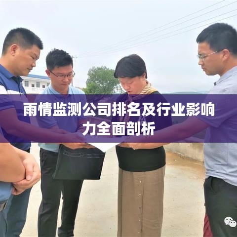 雨情监测公司排名及行业影响力全面剖析