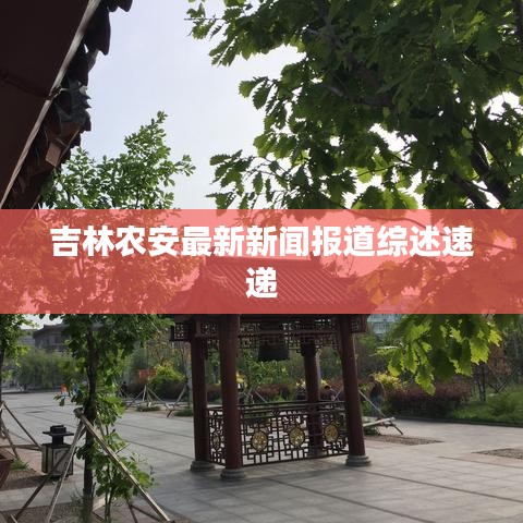 吉林农安最新新闻报道综述速递