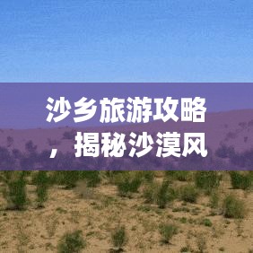 沙乡旅游攻略，揭秘沙漠风情的魅力之旅