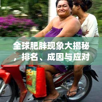 全球肥胖现象大揭秘，排名、成因与应对之道