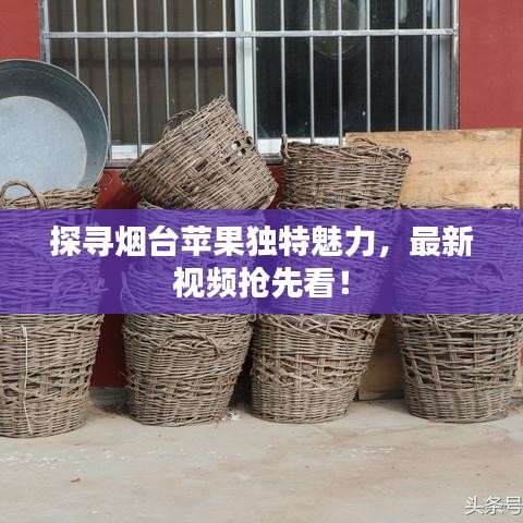 探寻烟台苹果独特魅力，最新视频抢先看！
