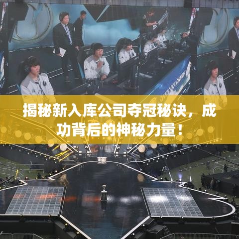 揭秘新入库公司夺冠秘诀，成功背后的神秘力量！