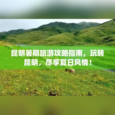 昆明暑期旅游攻略指南，玩转昆明，尽享夏日风情！