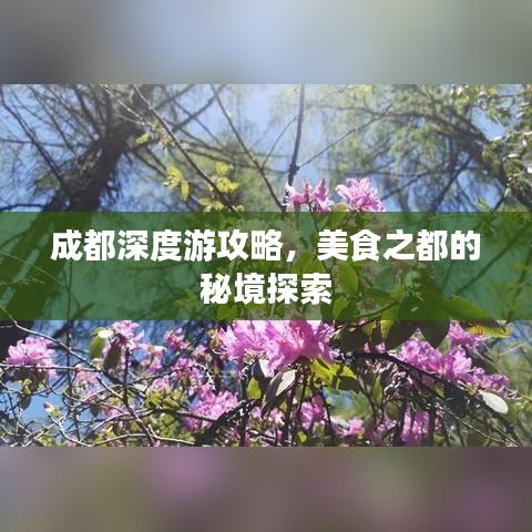 成都深度游攻略，美食之都的秘境探索