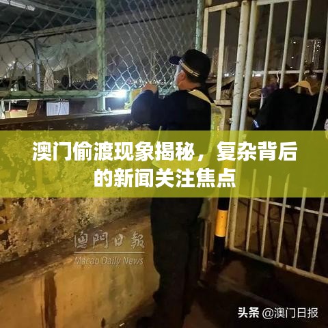 澳门偷渡现象揭秘，复杂背后的新闻关注焦点