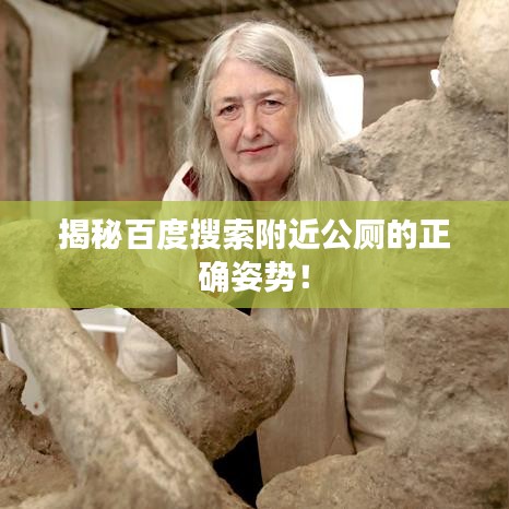 揭秘百度搜索附近公厕的正确姿势！