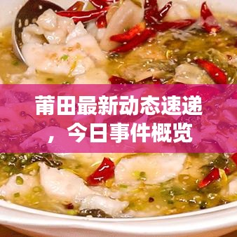 莆田最新动态速递，今日事件概览