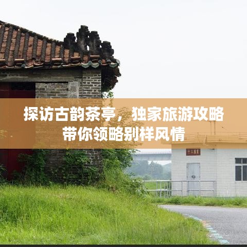 探访古韵茶亭，独家旅游攻略带你领略别样风情