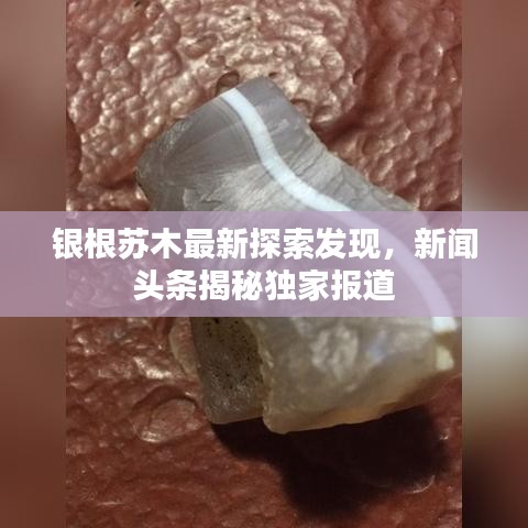 银根苏木最新探索发现，新闻头条揭秘独家报道