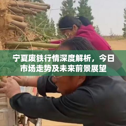 宁夏废铁行情深度解析，今日市场走势及未来前景展望