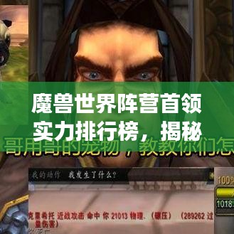 魔兽世界阵营首领实力排行榜，揭秘最强势的首领角色！