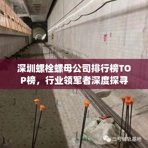 深圳螺栓螺母公司排行榜TOP榜，行业领军者深度探寻