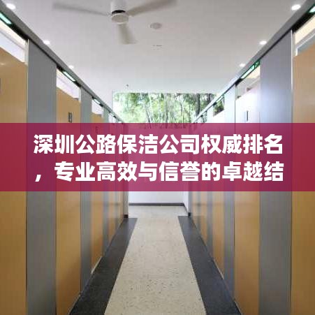 深圳公路保洁公司权威排名，专业高效与信誉的卓越结合