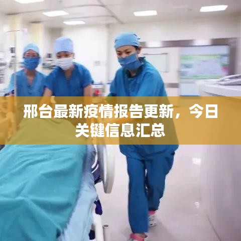邢台最新疫情报告更新，今日关键信息汇总