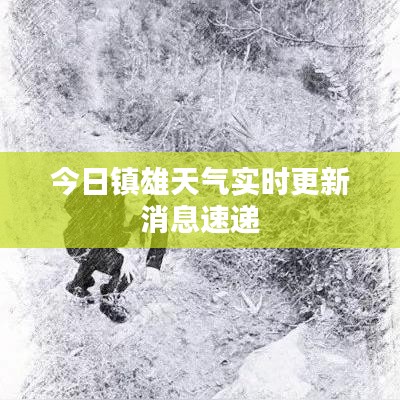 今日镇雄天气实时更新消息速递