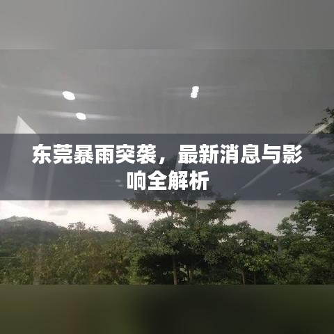 东莞暴雨突袭，最新消息与影响全解析