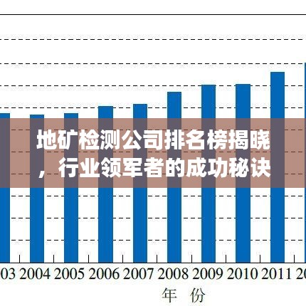 地矿检测公司排名榜揭晓，行业领军者的成功秘诀大揭秘！