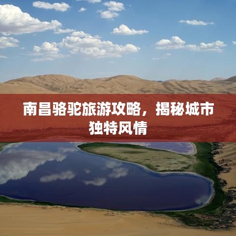 南昌骆驼旅游攻略，揭秘城市独特风情