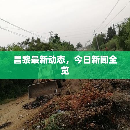 昌黎最新动态，今日新闻全览