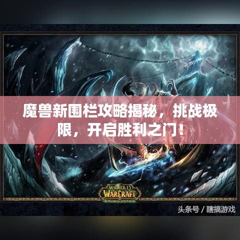 魔兽新围栏攻略揭秘，挑战极限，开启胜利之门！