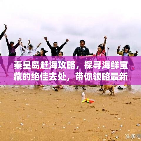 秦皇岛赶海攻略，探寻海鲜宝藏的绝佳去处，带你领略最新赶海体验！