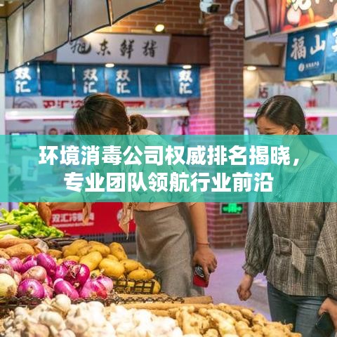 环境消毒公司权威排名揭晓，专业团队领航行业前沿