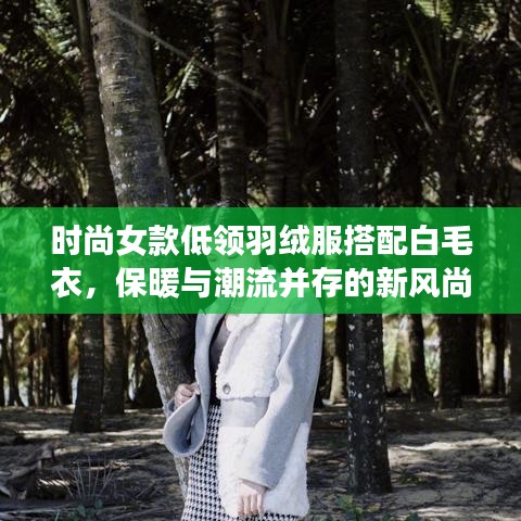 2025年5月27日 第9页