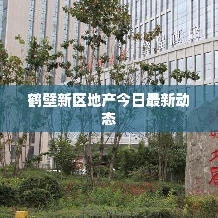 鹤壁新区地产今日最新动态