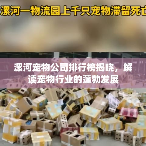 漯河宠物公司排行榜揭晓，解读宠物行业的蓬勃发展