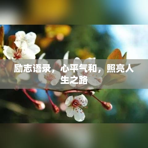 励志语录，心平气和，照亮人生之路