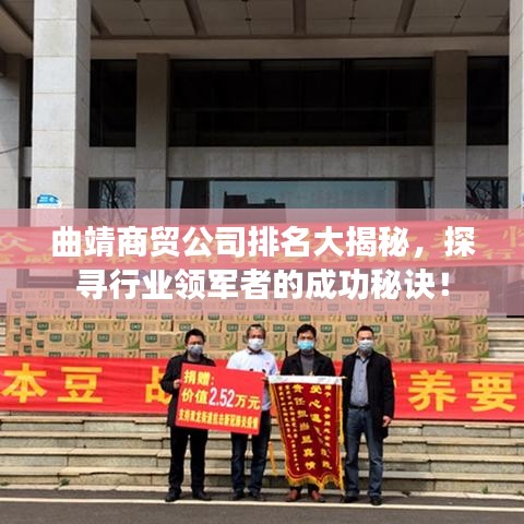 曲靖商贸公司排名大揭秘，探寻行业领军者的成功秘诀！