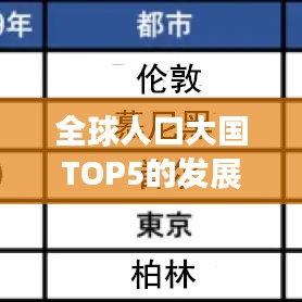 全球人口大国TOP5的发展与挑战探究