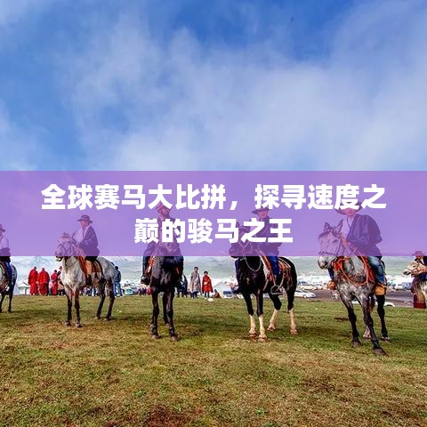 全球赛马大比拼，探寻速度之巅的骏马之王