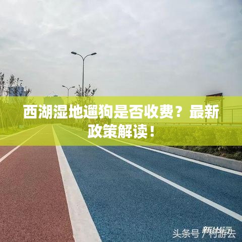 2025年5月28日 第20页