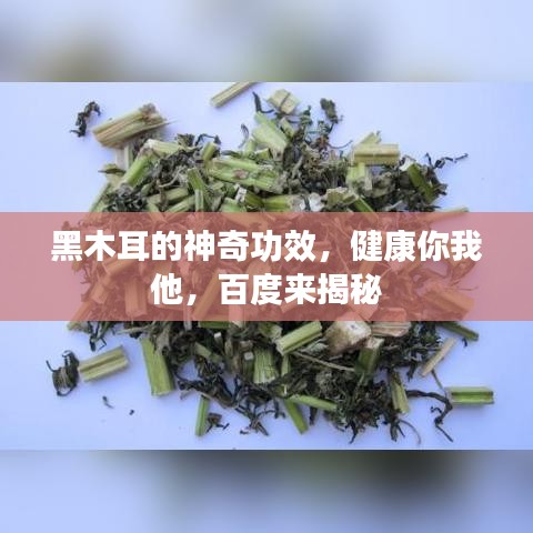 黑木耳的神奇功效，健康你我他，百度来揭秘