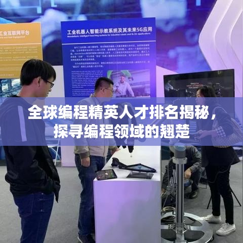 全球编程精英人才排名揭秘，探寻编程领域的翘楚
